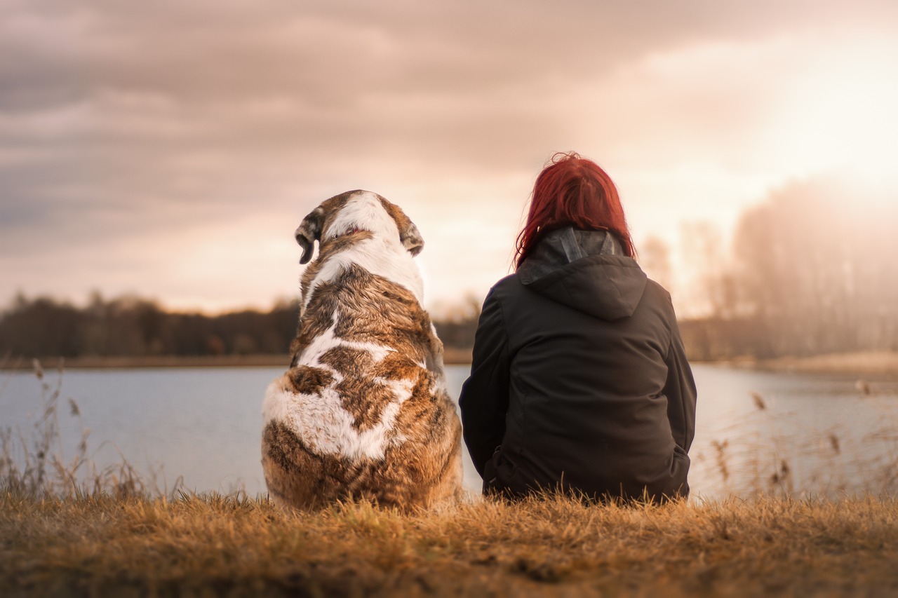 Building a Strong Relationship with Your Dog: Debunking the "Alpha Dog" Theory