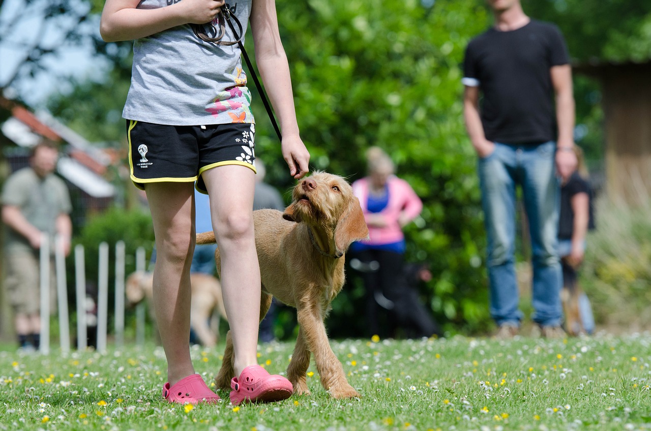 Teachuary & Respectable Relations: Nurturing Bonds Through Education and Responsible Pet Ownership